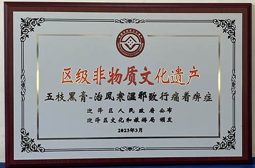 色情论坛
褥疮烧伤科赵氏中医外治技术学术流派三晋医脉薪火传